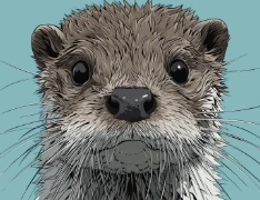 Mud the otter