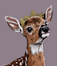 Portrait of Spirit
