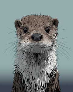 The picture of Mud The Otter