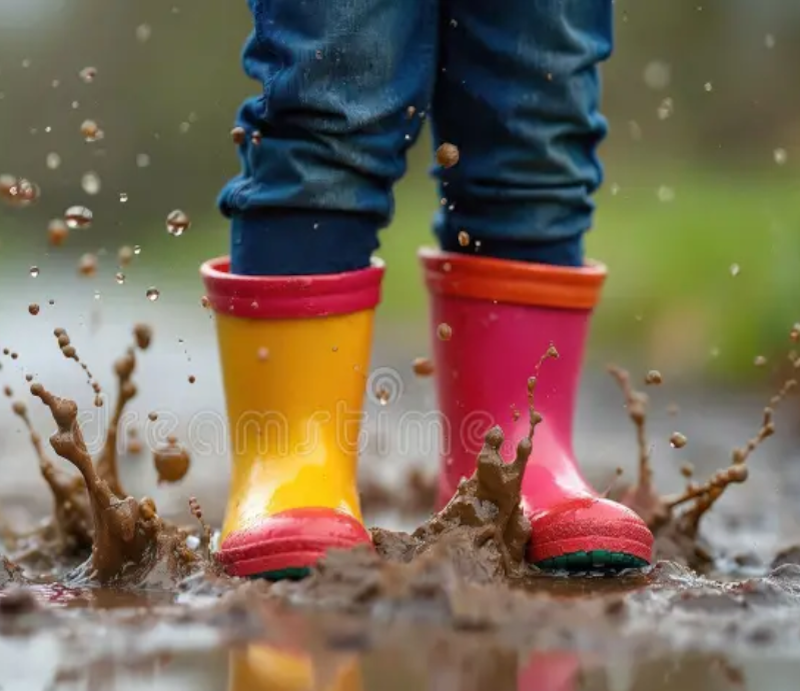 Why you need WelliePaws in your life